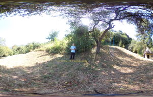panorama reality bb