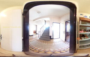panorama reality bb