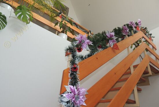 Rodinný dom, RD, Badín [734]